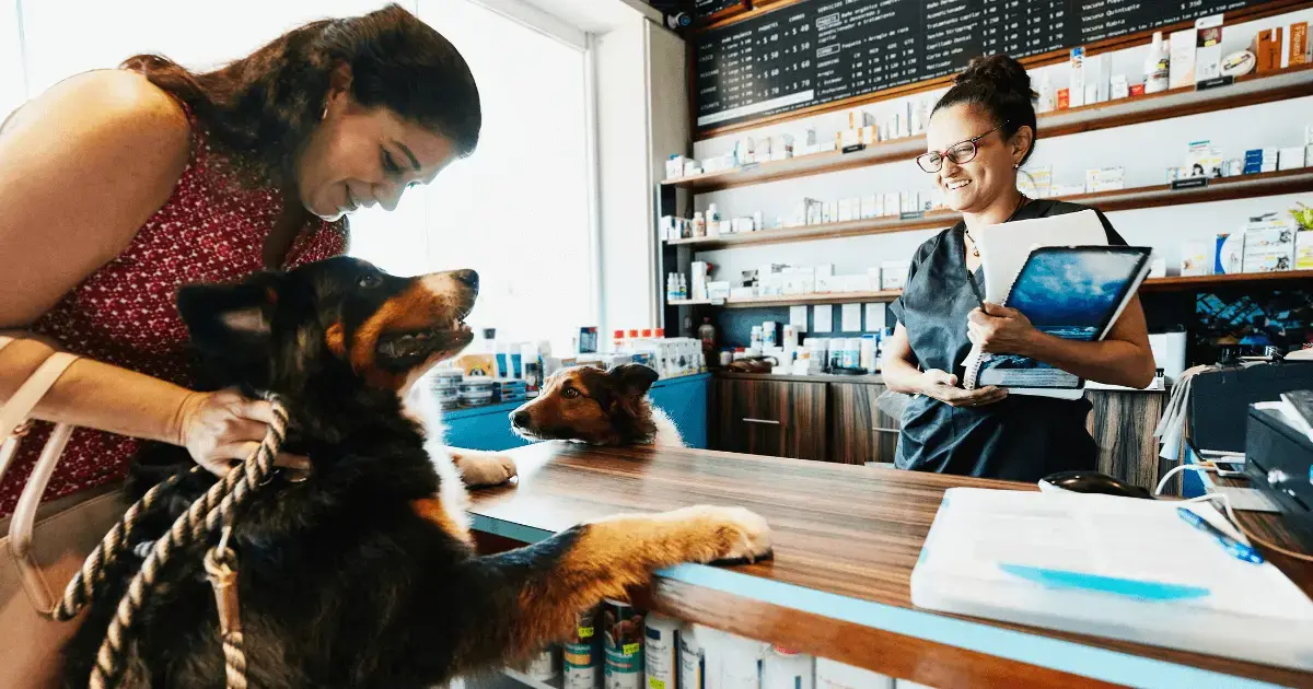 How To Manage Pet Store Inventory 5 Tips & Tools